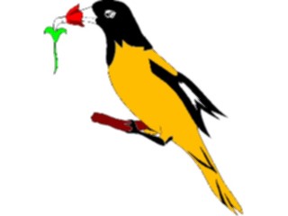 Sticker Custom Preview Image #016997 Animals Birds Oriole1