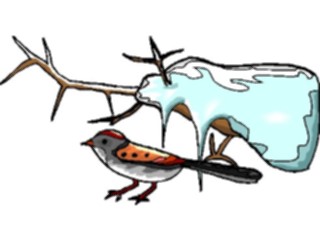Sticker Custom Preview Image #016999 Animals Birds Oriole3
