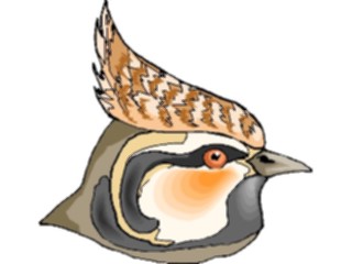 Sticker Custom Preview Image #017000 Animals Birds Oriole4