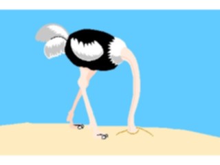 Sticker Custom Preview Image #017002 Animals Birds Ostrich02