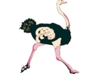 Sticker Custom Preview Image #017003 Animals Birds Ostrich03