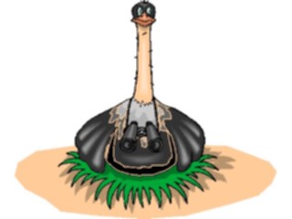 Sticker Custom Preview Image #017008 Animals Birds Ostrich08