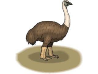 Sticker Custom Preview Image #017009 Animals Birds Ostrich09