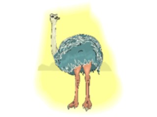Sticker Custom Preview Image #017010 Animals Birds Ostrich10