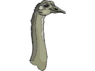 Sticker Custom Preview Image #017011 Animals Birds Ostrich11