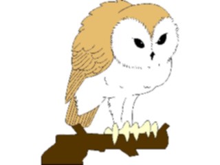 Sticker Custom Preview Image #017022 Animals Birds Owl09
