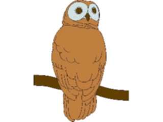 Sticker Custom Preview Image #017029 Animals Birds Owl16