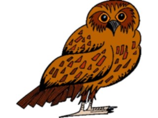 Sticker Custom Preview Image #017033 Animals Birds Owl20