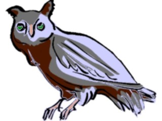 Sticker Custom Preview Image #017035 Animals Birds Owl22