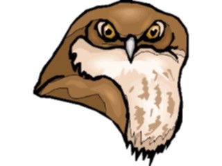 Sticker Custom Preview Image #017041 Animals Birds Owl28