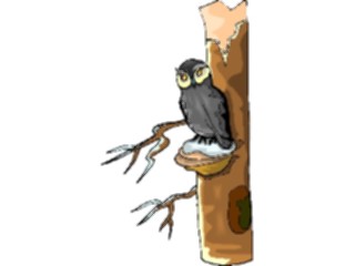 Sticker Custom Preview Image #017042 Animals Birds Owl29