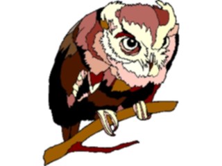 Sticker Custom Preview Image #017052 Animals Birds Owl39
