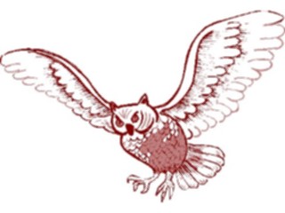 Sticker Custom Preview Image #017060 Animals Birds Owl Flying