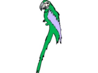 Sticker Custom Preview Image #017072 Animals Birds Parrot05