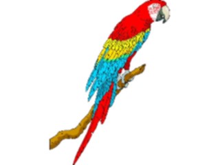 Sticker Custom Preview Image #017075 Animals Birds Parrot08
