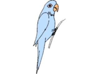 Sticker Custom Preview Image #017076 Animals Birds Parrot09