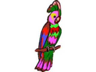 Sticker Custom Preview Image #017080 Animals Birds Parrot13