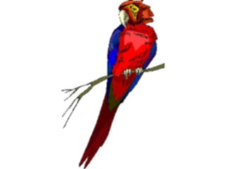 Sticker Custom Preview Image #017081 Animals Birds Parrot14