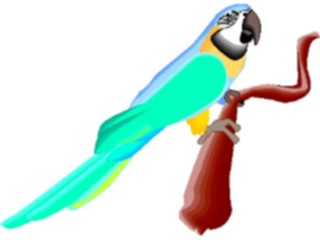 Sticker Custom Preview Image #017082 Animals Birds Parrot15