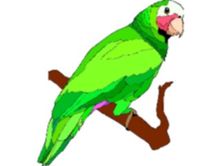 Sticker Custom Preview Image #017088 Animals Birds Parrot21