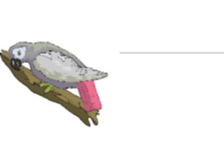 Sticker Custom Preview Image #017089 Animals Birds Parrot African Grey