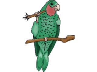 Sticker Custom Preview Image #017090 Animals Birds Parrot Amazon