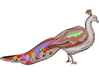 Sticker Custom Preview Image #017095 Animals Birds Peacock4