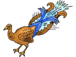 Sticker Custom Preview Image #017096 Animals Birds Peacock5