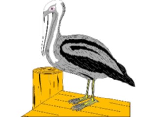 Sticker Custom Preview Image #017099 Animals Birds Pelican01