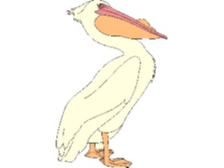 Sticker Custom Preview Image #017101 Animals Birds Pelican03