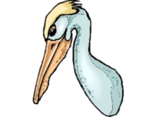 Sticker Custom Preview Image #017113 Animals Birds Pelican15