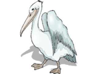 Sticker Custom Preview Image #017120 Animals Birds Pelican22