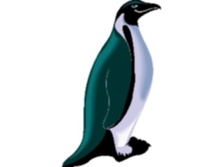 Sticker Custom Preview Image #017128 Animals Birds Penguin06
