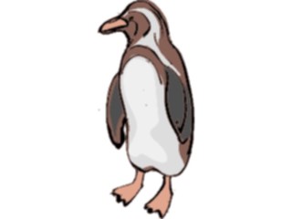 Sticker Custom Preview Image #017133 Animals Birds Penguin11