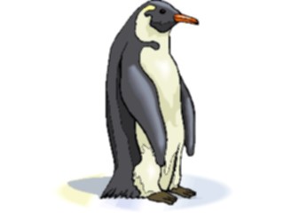 Sticker Custom Preview Image #017135 Animals Birds Penguin13