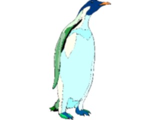 Sticker Custom Preview Image #017143 Animals Birds Penguin21