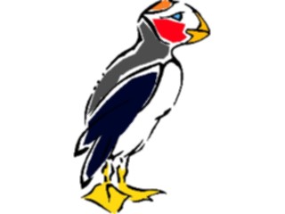 Sticker Custom Preview Image #017187 Animals Birds Puffin05