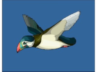 Sticker Custom Preview Image #017189 Animals Birds Puffin07