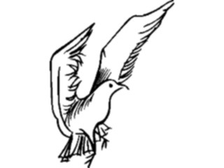 Sticker Custom Preview Image #017227 Animals Birds Seagull07