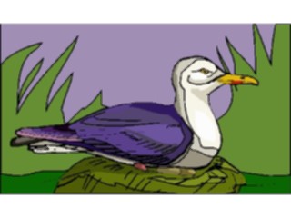 Sticker Custom Preview Image #017232 Animals Birds Seagull12