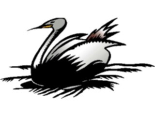 Sticker Custom Preview Image #017282 Animals Birds Swan04