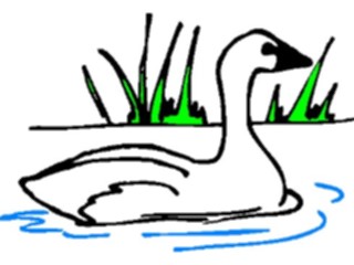 Sticker Custom Preview Image #017288 Animals Birds Swan10