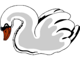 Sticker Custom Preview Image #017290 Animals Birds Swan12