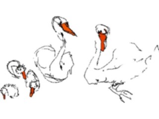 Sticker Custom Preview Image #017308 Animals Birds Swan Sketch Family