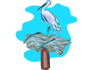 Sticker Custom Preview Image #017309 Animals Birds Sweep