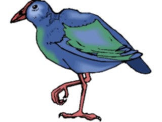 Sticker Custom Preview Image #017312 Animals Birds Takahe