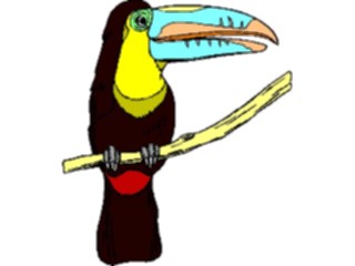 Sticker Custom Preview Image #017319 Animals Birds Toucan01