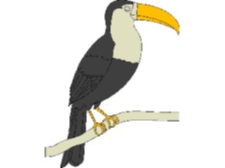 Sticker Custom Preview Image #017320 Animals Birds Toucan02