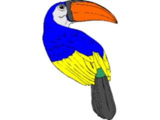 Sticker Custom Preview Image #017322 Animals Birds Toucan04