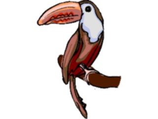 Sticker Custom Preview Image #017323 Animals Birds Toucan05